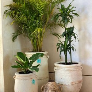 Hand-Turned Fes Terracotta Planters with Rope Detail